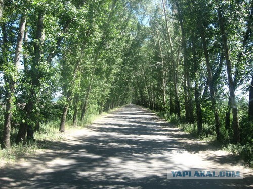 Москва—Якутск—Москва на тягаче МАЗ-5440А9