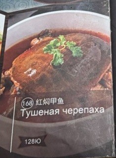 Китай. Остров Хайнань, или как  я в Санье отдыхал