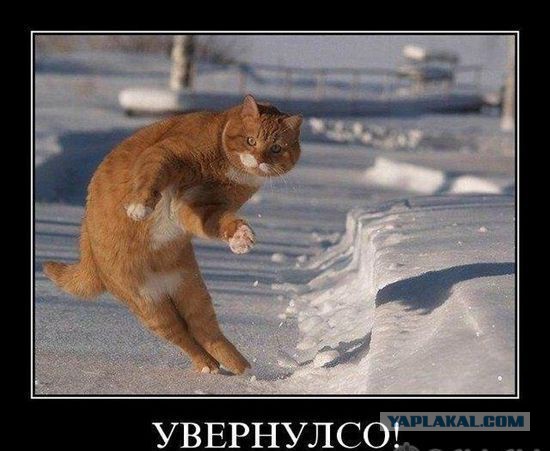 Демотиваторы.