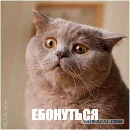 Толстый троллинг про космонавтику