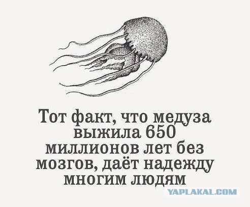 Очередной косяк Псаки