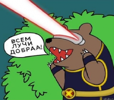 Медведи почти на все случаи жизни