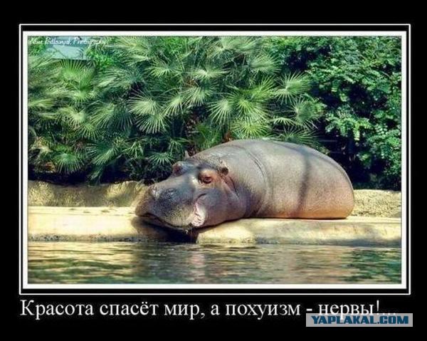 Подборка демотиваторов