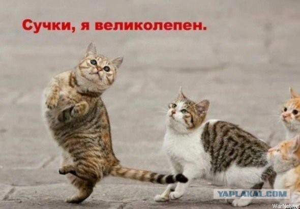 Олдфаги будут рыдать