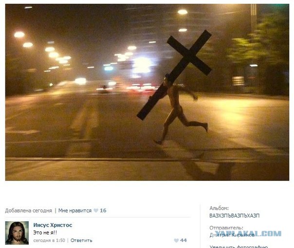 Собака телепортяка