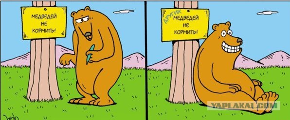 комментарии из соц сетей.