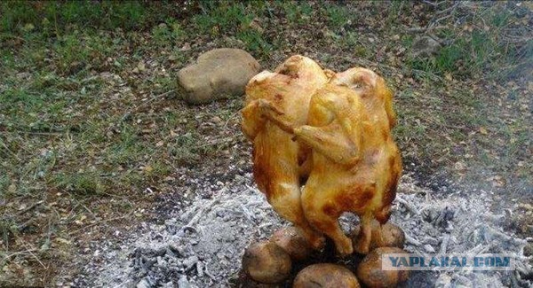 Готовим на костре или лесная кулинария