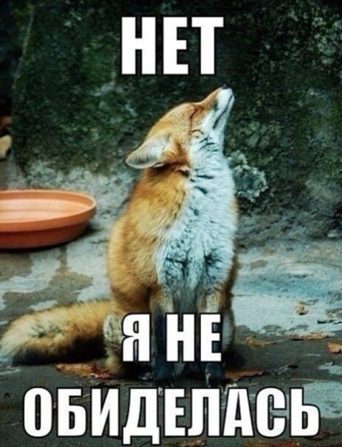 Когда кто-то плюсует твой заминусованый пост