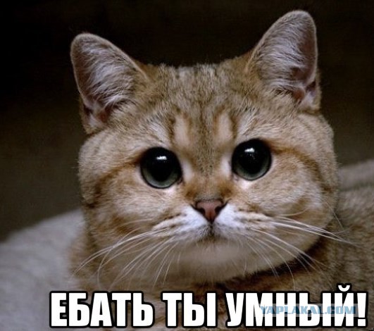 10 возможных форм жизни