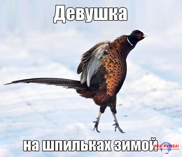 Ты что меня снимаешь?!