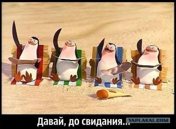 Улыбающаяся жена снялась у гроба мужа с детьми