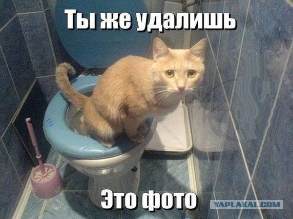 Картинки и гифки на понедельник