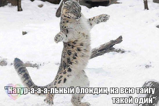 Картинки разные с просторов