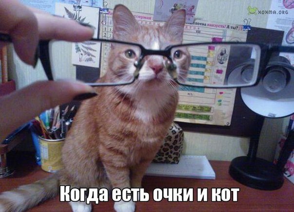 Картинки разные из сети
