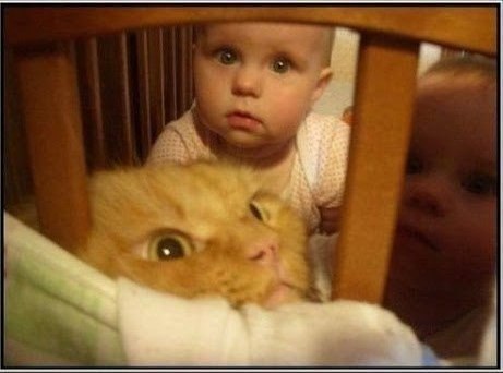 Подборка картинок на среду