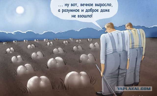 Смешные, прикольные и странные картинки ч.3