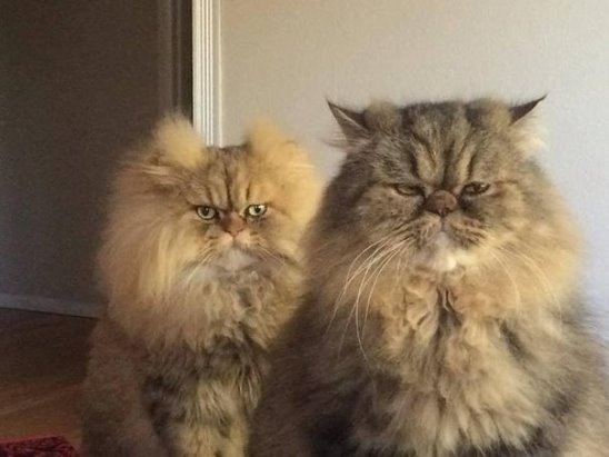 Подборка интересных и веселых картинок