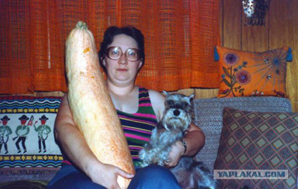 Подборка странных снимков из серии "Что тут, черт возьми, происходит?!"