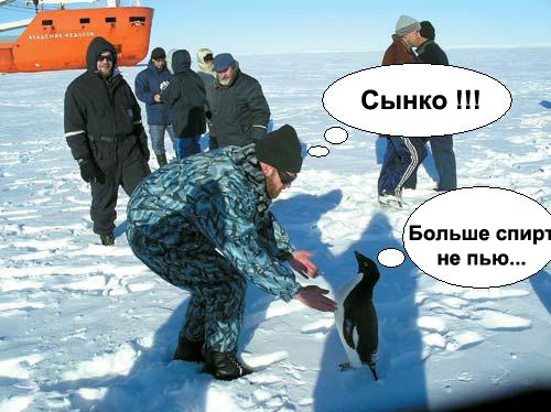 Фотожаба: Полярники окружают!