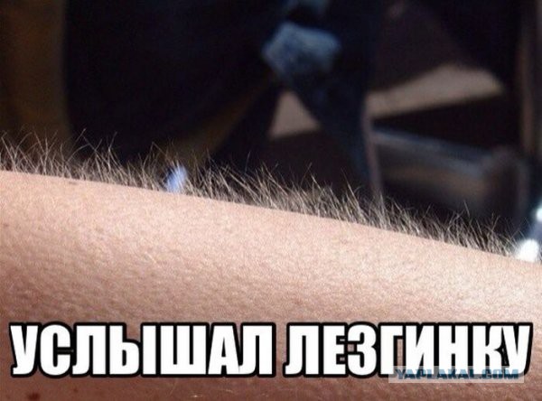 Кадыровцы. Чеченская группировка или армия готовых на все