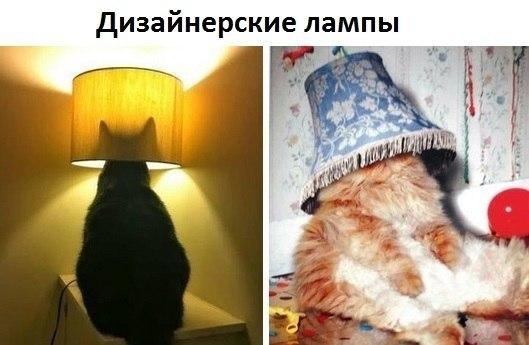 Картинки и приколы из сети