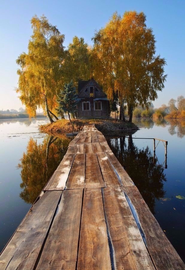 Порция картинок
