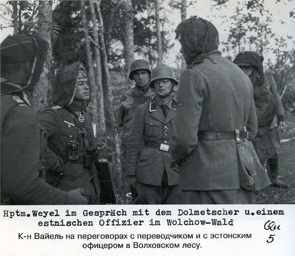 Волховский фронт. 1942. Взгляд с той стороны.