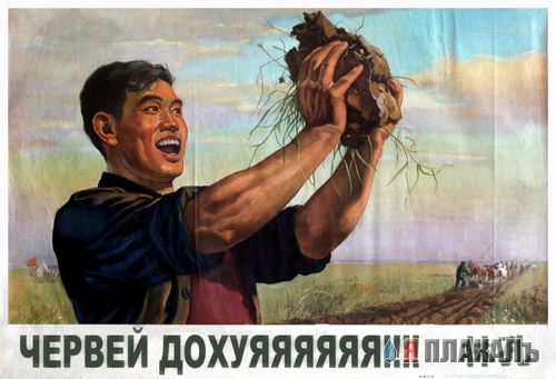 Девочка, что с твоей рукой?