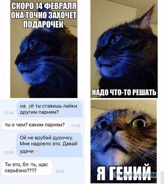 Народ, мож антивалентинок накидаем?