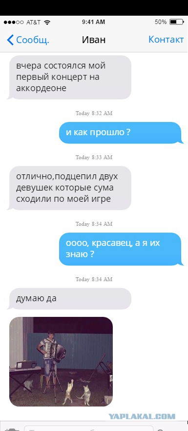 Юмор социальных сетей