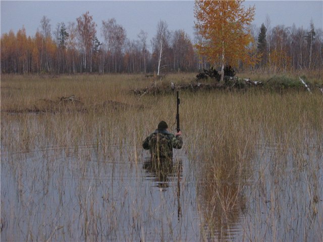 охота на гуся на болоте в архангельской области. одежда для охоты на водоплавающую дичь. охотник болота. охота на уток. архангельск болота.