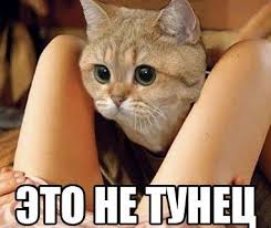 Запах девушек! Интересный вопрос
