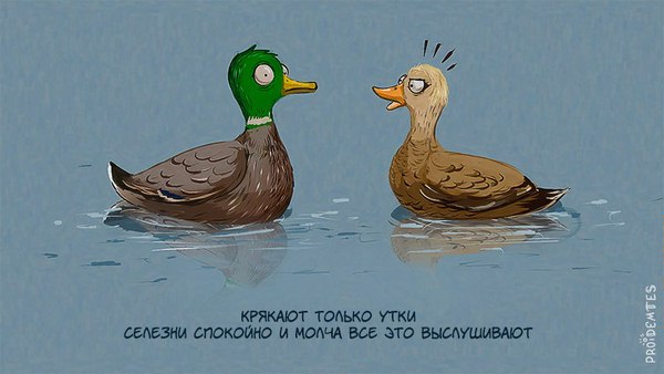 Подборка интересных и веселых картинок