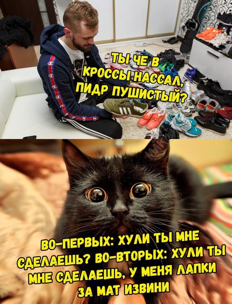 Записки сумасшедшего школьника