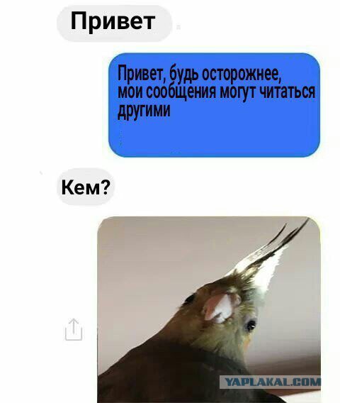 SMS-ки