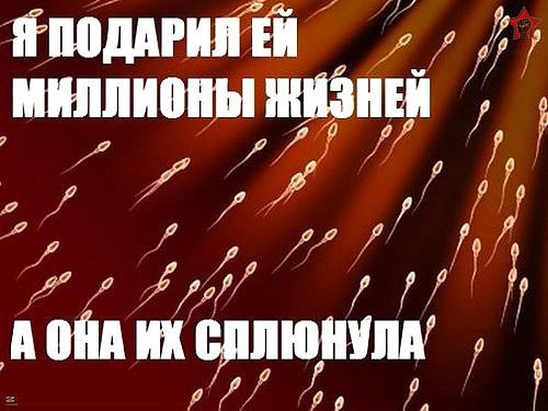 Перлы