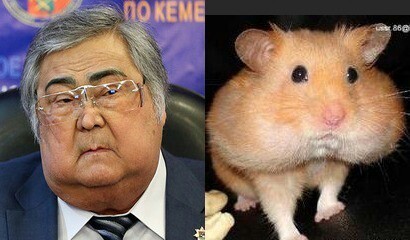 Велосипедист - это настоящее бедствие для экономики!