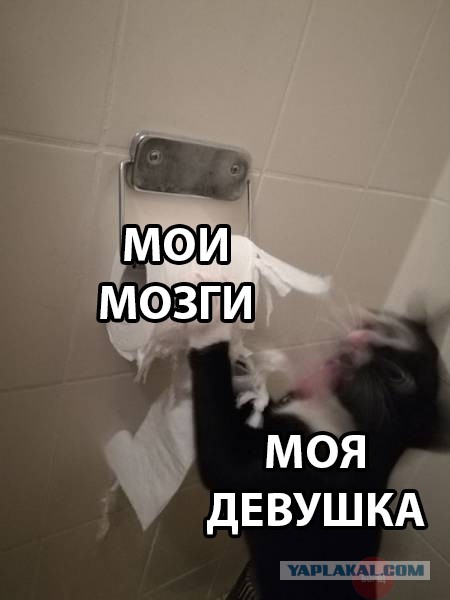 Подборка картинок. Забавных, прикольных - разных!