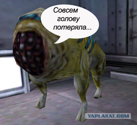 Собака подозревака.