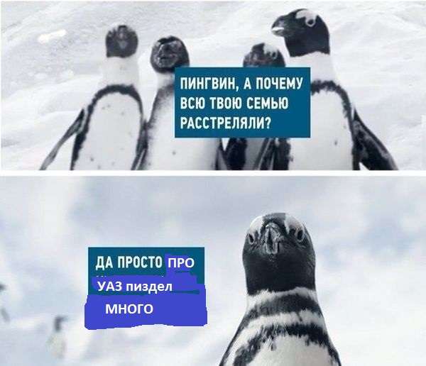 Чернушка-чернучшечка-чернушенция