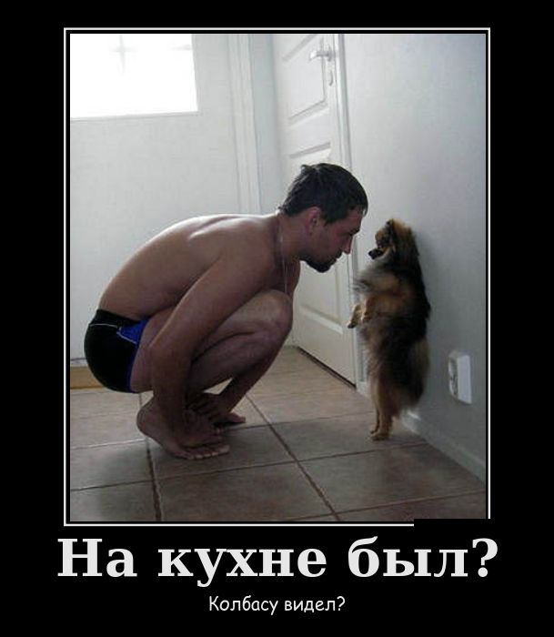 Анекдоты, истории и картинки с надписями
