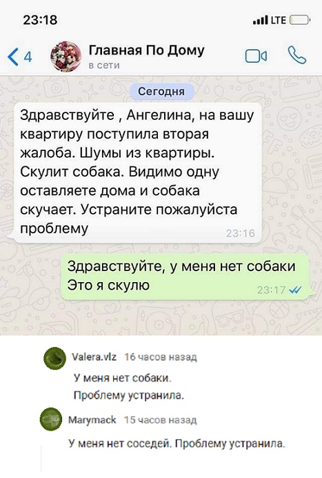 Прикольные комментарии и высказывания из Сети