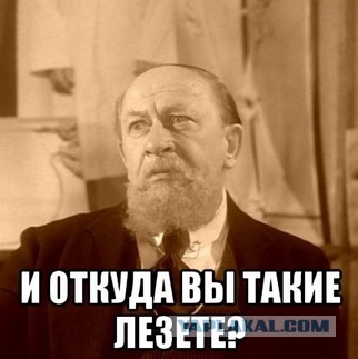 Депутат Мосгордумы