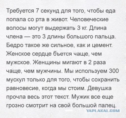 Бредзона 29.12.19