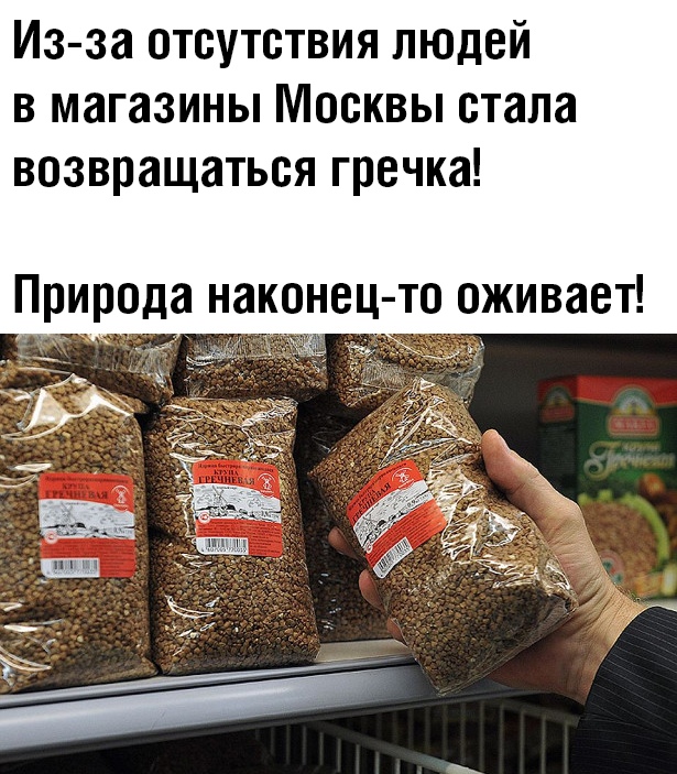 Немного картинок для настроения 31.03.20