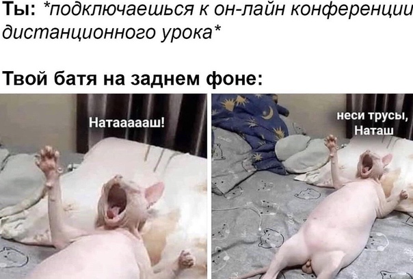 Так себе картинки 3