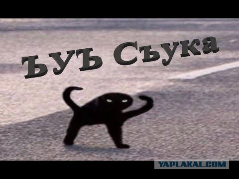 Мужчины научились жить одни. Женщин это сильно злит