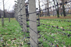 "У нас не Европа!" - почему россияне выбирают высоченные заборы и смеются над живой изгородью