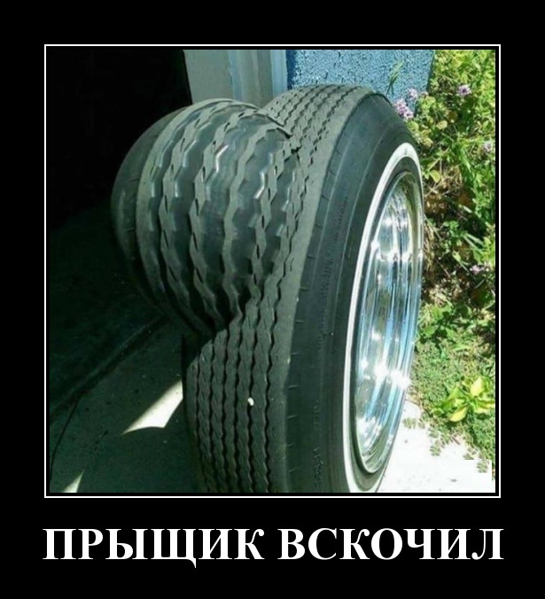 Так себе картинки 09.06.20