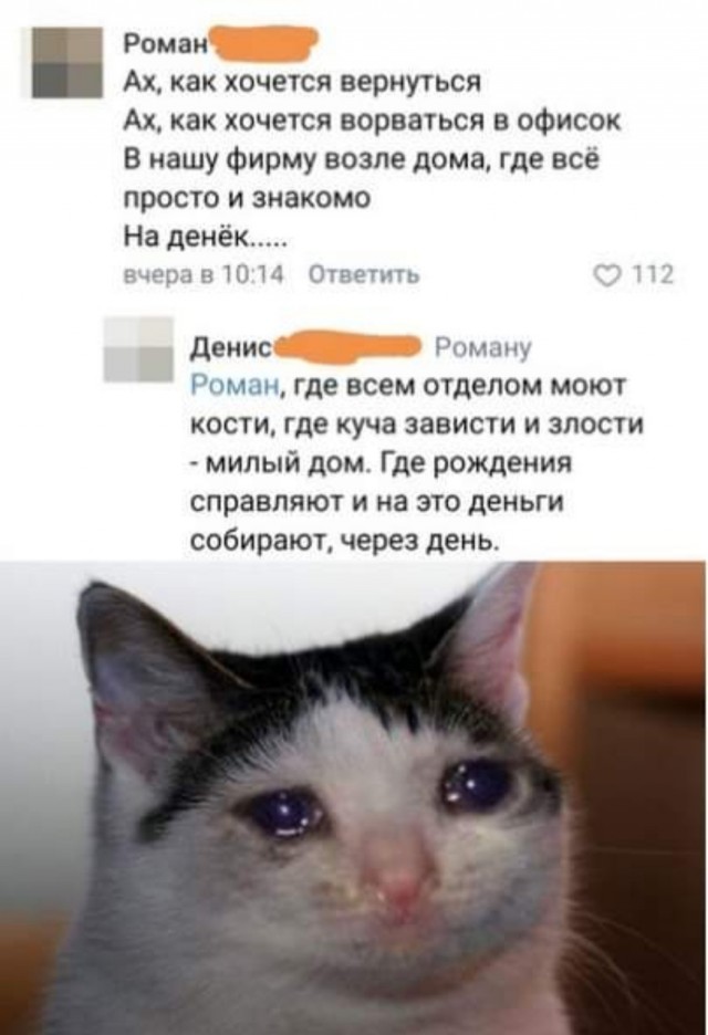 Чуток картинок 13.06.20